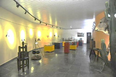 Museu do Zebu