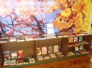 Biblioteca Municipal adquire 500 novos livros