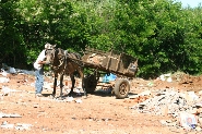 Ecopontos serão urbanizados