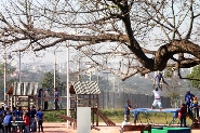 Semana do Meio Ambiente atrai cerca de 1.200 pessoas ao Parque Tecnológico