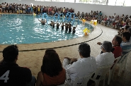 Prefeitura inaugura piscinas no Cemea Abadia