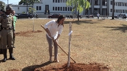 Prefeitura comemora Dia da Árvore