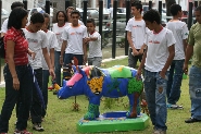 Rinocerontes coloridos por alunos são expostos em clima de festa. 