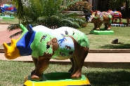 Rinocerontes coloridos por alunos são expostos no Centro Administrativo