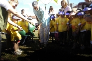 Crianças fazem plantio de árvores e adotam praça no conjunto Uberaba I